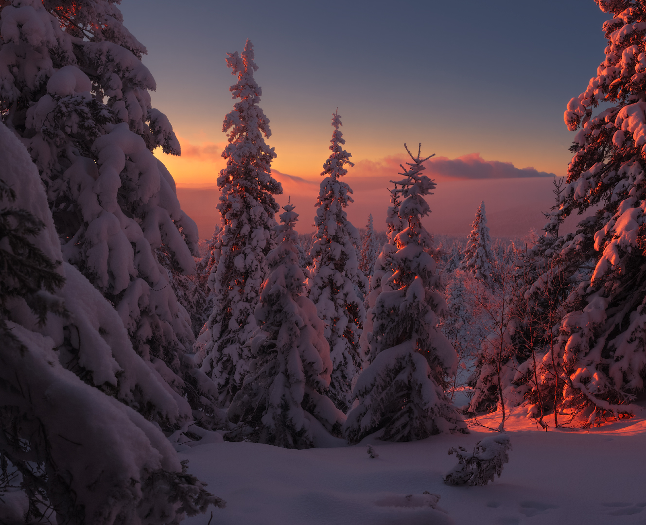 Работа легенды зимнего леса. Фотограф marateaman