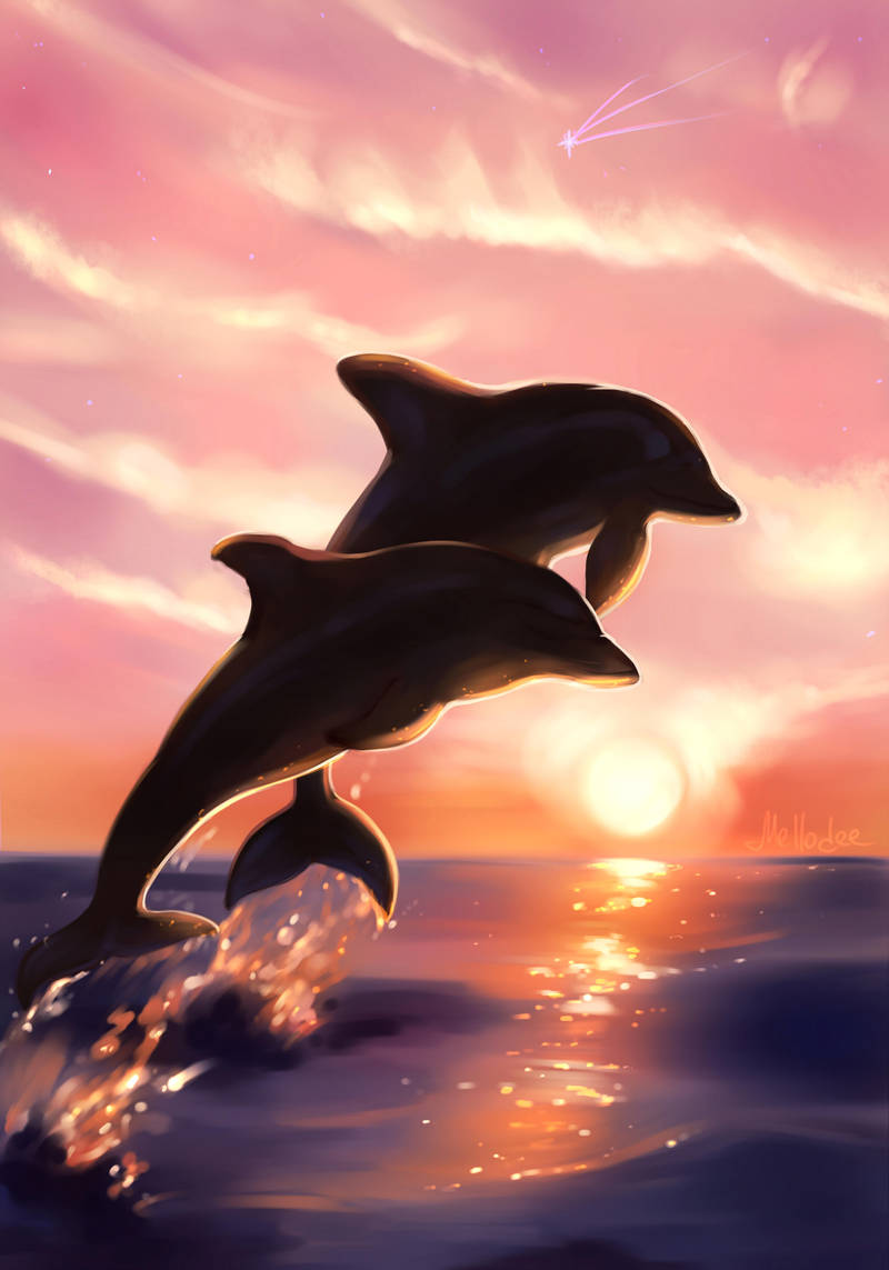 Фото Море Закат Дельфины