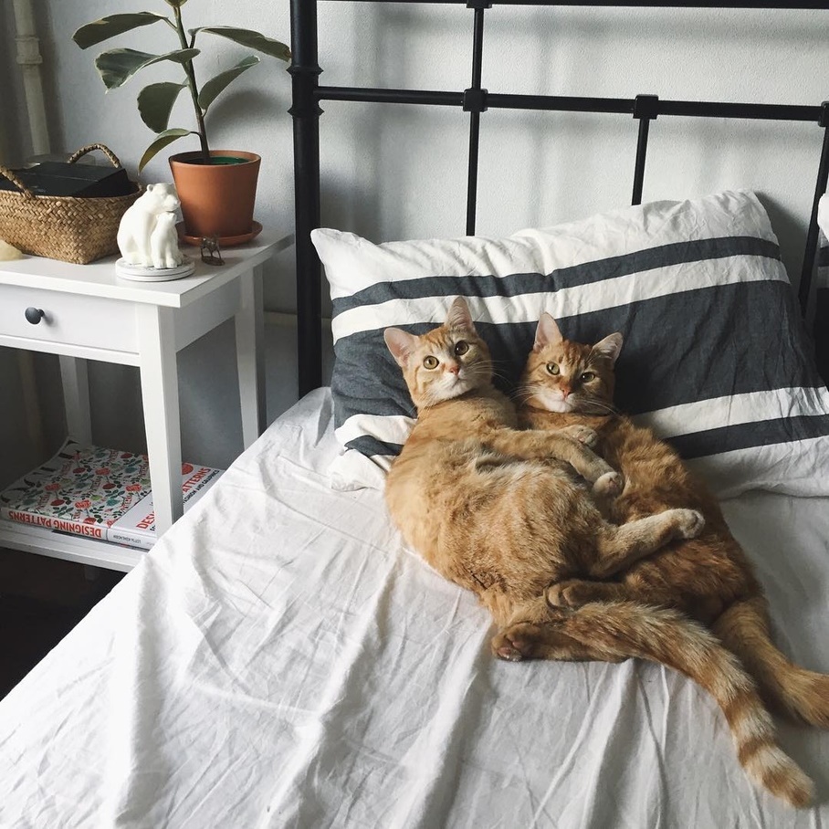 Лежат вместе в кровати