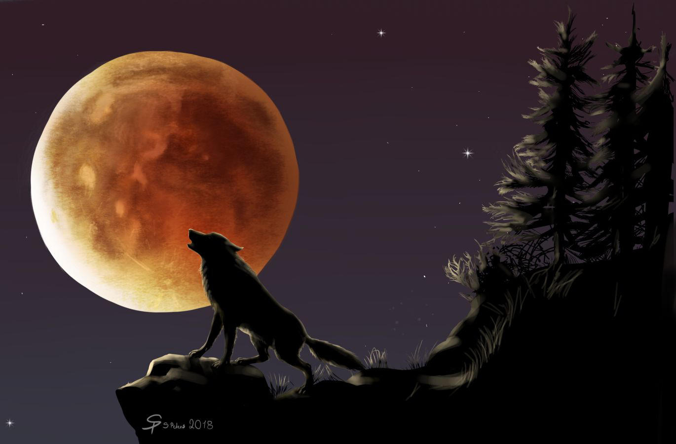 Волк воет на луну рисунок для детей