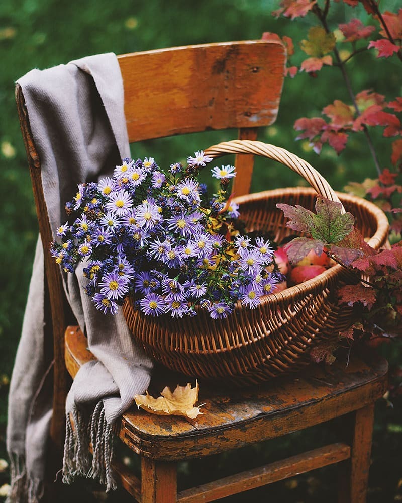 Фото Корзины Осенних Цветов