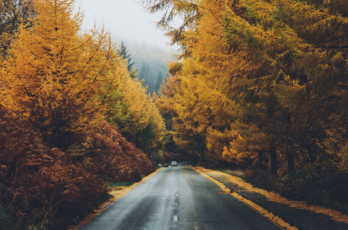 Красивые Фото Машин Осенью
