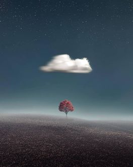 Фото Облако над деревом