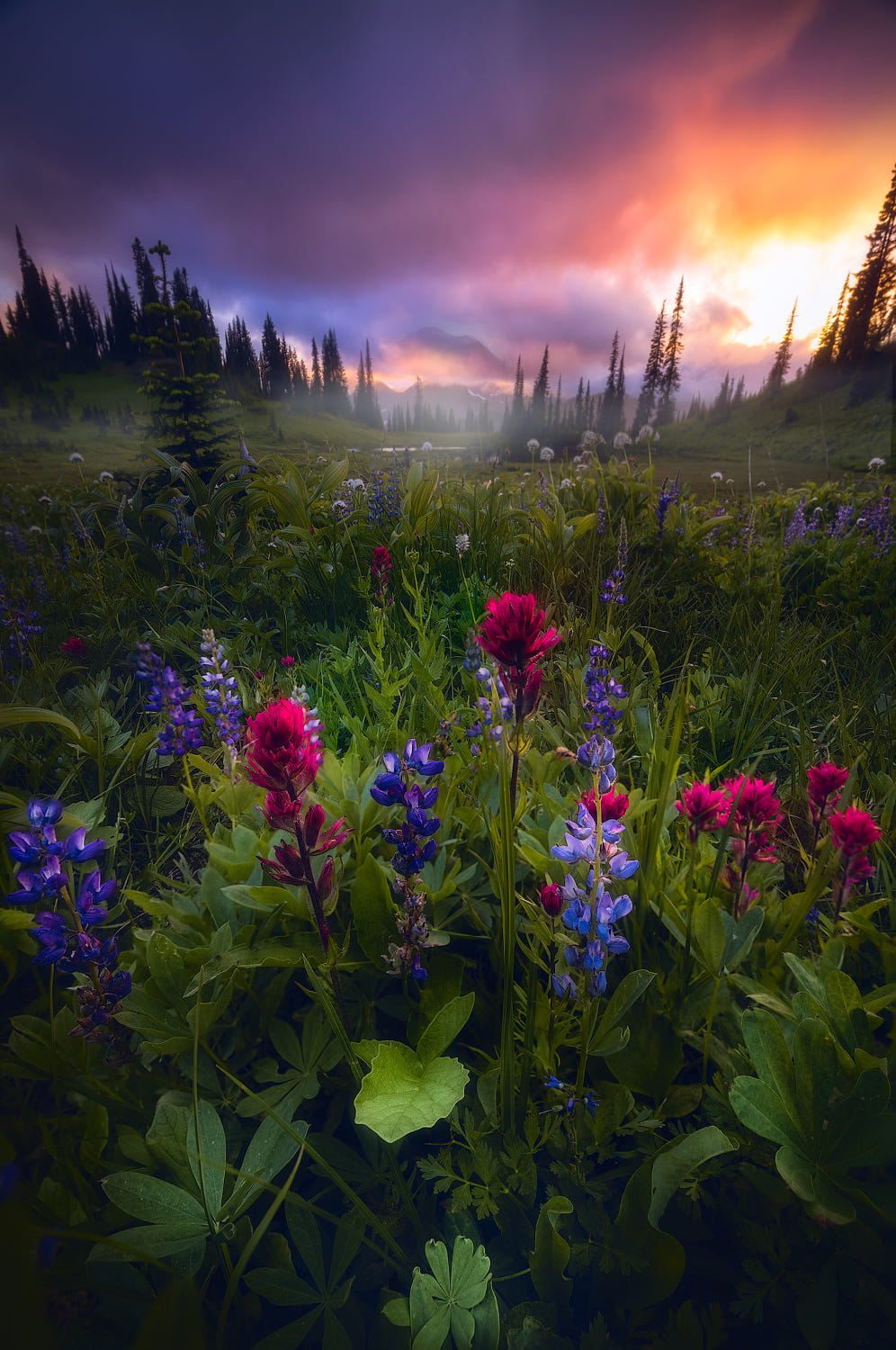 Фото Долина в цветах под облачным небом. Фотограф Dan Greenwood