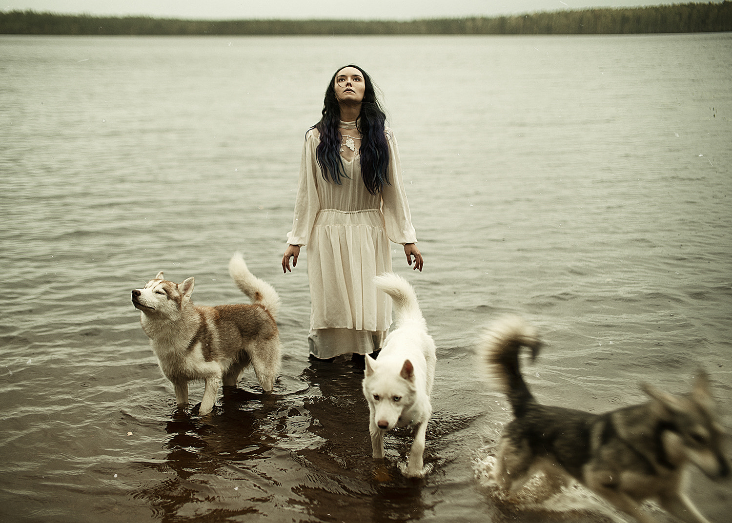 Фото Девушка с собаками стоит в воде, by Alexandra Bochkareva