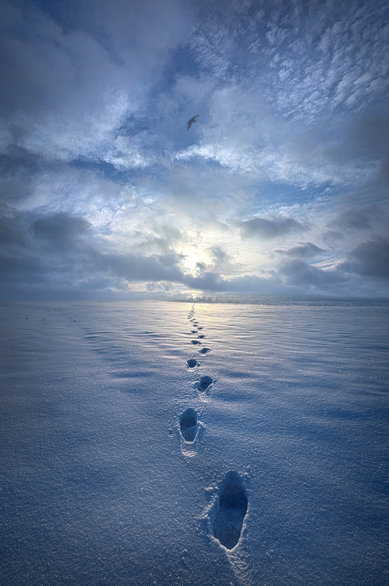 Фото Следы на снегу, by Phil Koch