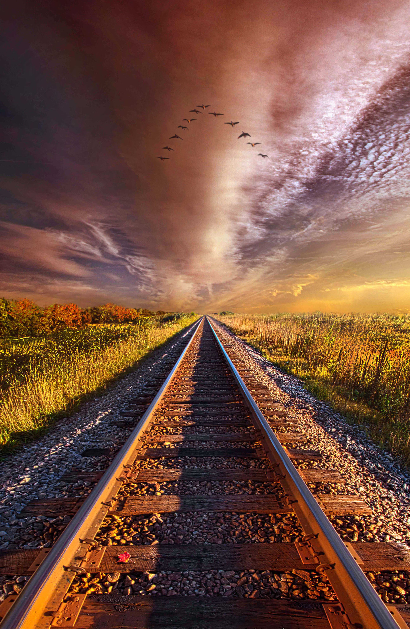 Фото Железная дорога, уходящая к облачному небу, by Phil Koch