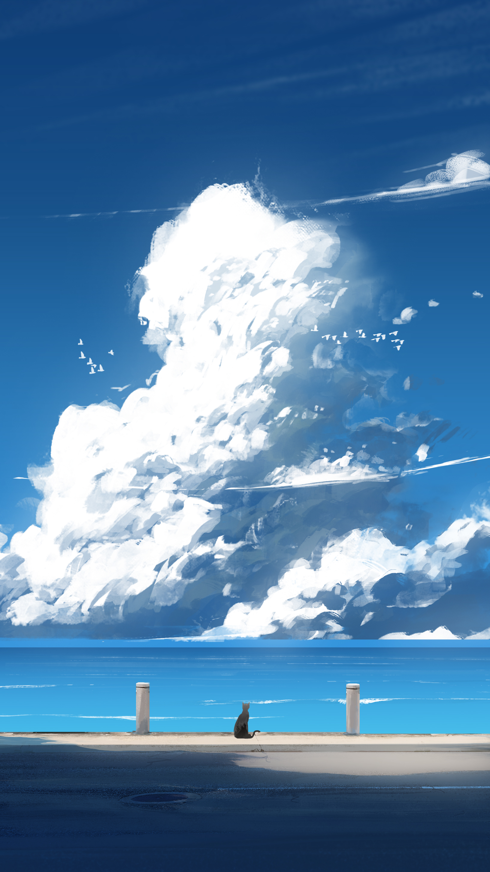 Фото Кошка сидит у моря под огромным облаком