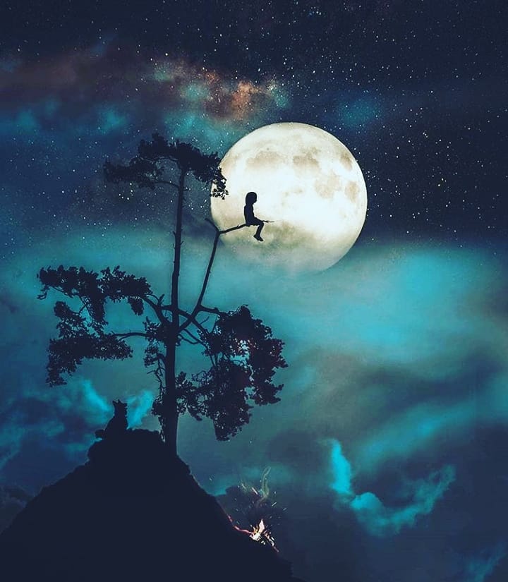 Фото Мальчик сидит на дереве на фоне полной луны, а у дерева сидит собака