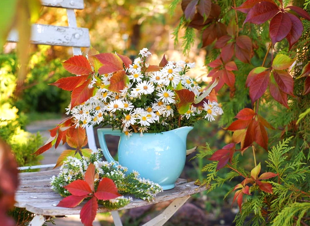 Было чудное осеннее утро. Чудесные цветы осенью. Ромашки осень. Утро осень цветы. Осенний букет ромашек.