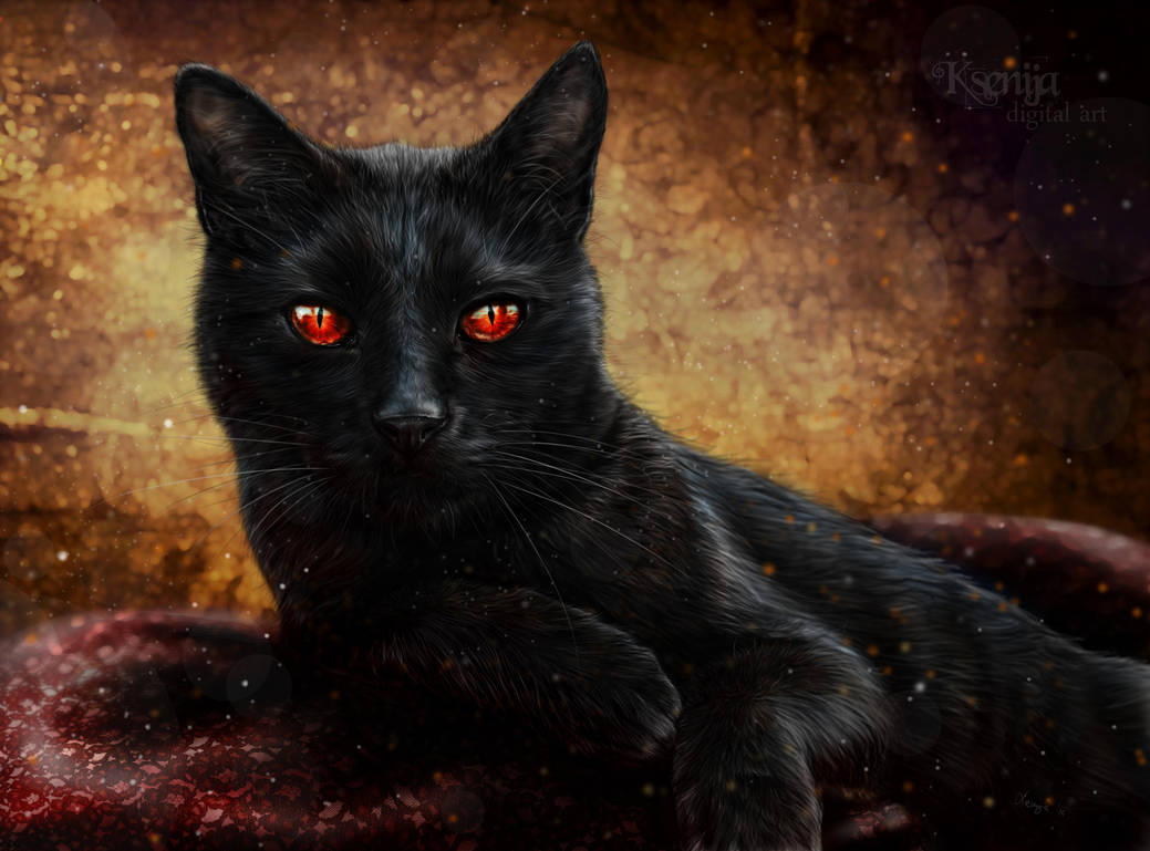Фото Черный кот с красными глазами среди бликов, by Gwyneeth
