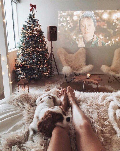 Фото Девушки с собачкой сидит на постели в комнате с новогодней елкой