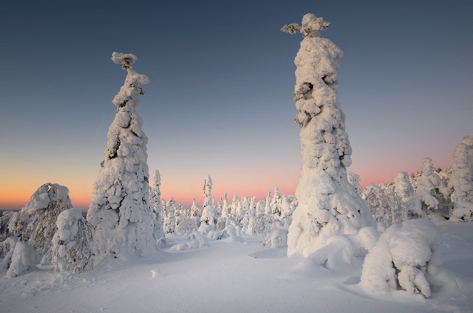 Фото Чудесная зима, by Carsten Meyerdierks