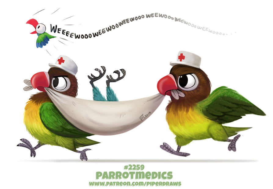 Фото Два попугая в шапках с крестом несут больного попугая (Parrotmedics), by Cryptid-Creations