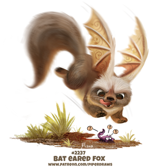 Фото Лиса-летучая мышь и скорпион (Bat Eared Fox), by Cryptid-Creations