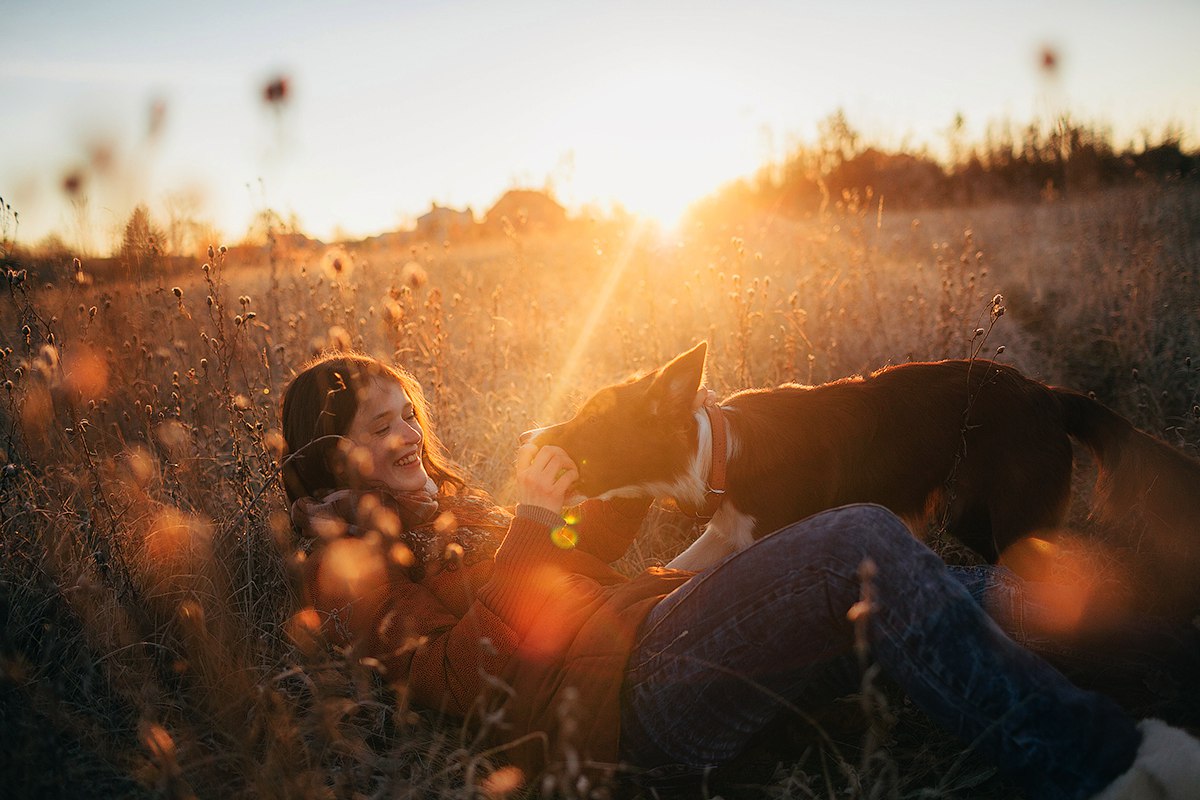Фото Девочка с собакой породы бордер-колли в траве, фотограф Мария Струтинская