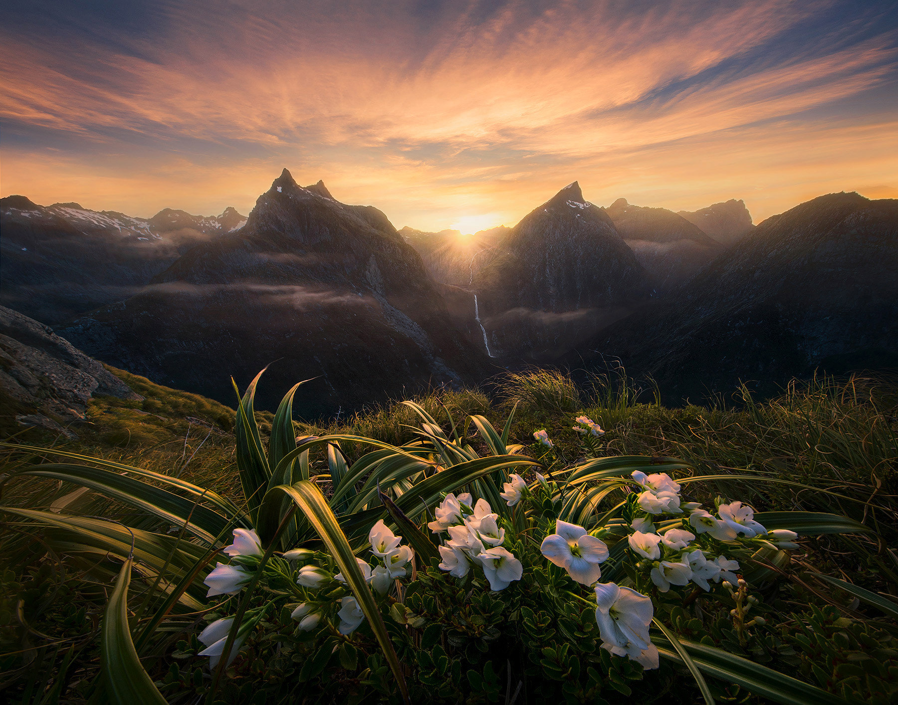 Фото Рассвет в горах Новой Зеландии, на переднем плане белые крокусы, by Marc Adamus