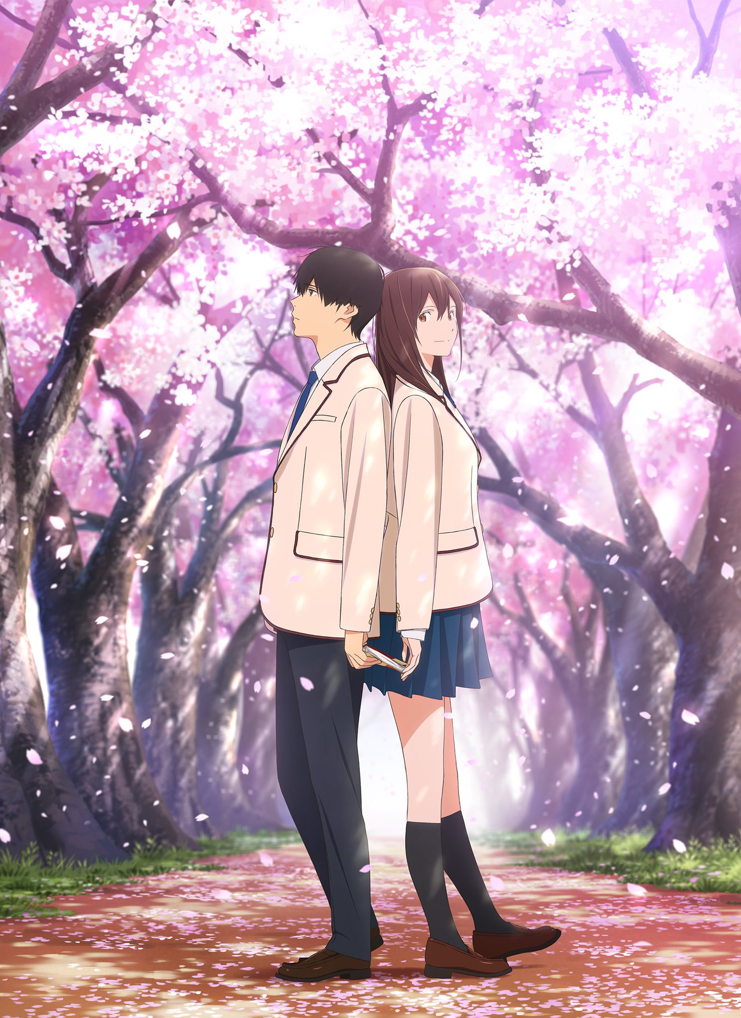 Фото Персонажи - парень с девушкой стоят на аллее под цветущими деревьями сакуры из аниме Kimi no Suizou wo Tabetai