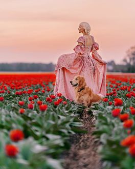 Фото Девушка с собакой породы золотистый ретривер на тюльпановом поле, by bulavina