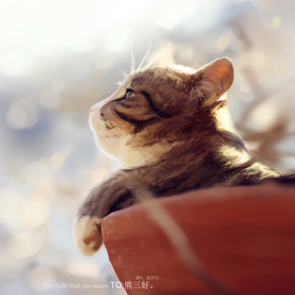 Фото Кошка сидит в цветочном горшке, by didada