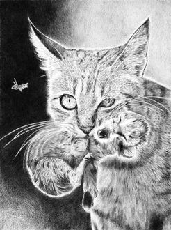 Фото Рисунок кошки, которая держит котенка
