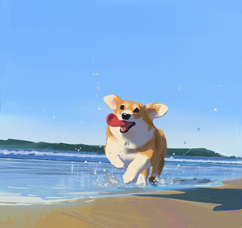 корги на море