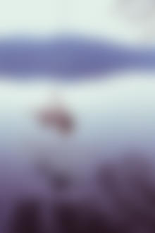 Фото Обнаженная модель Дорина Сираки над водой, фотограф Симона Аттисани