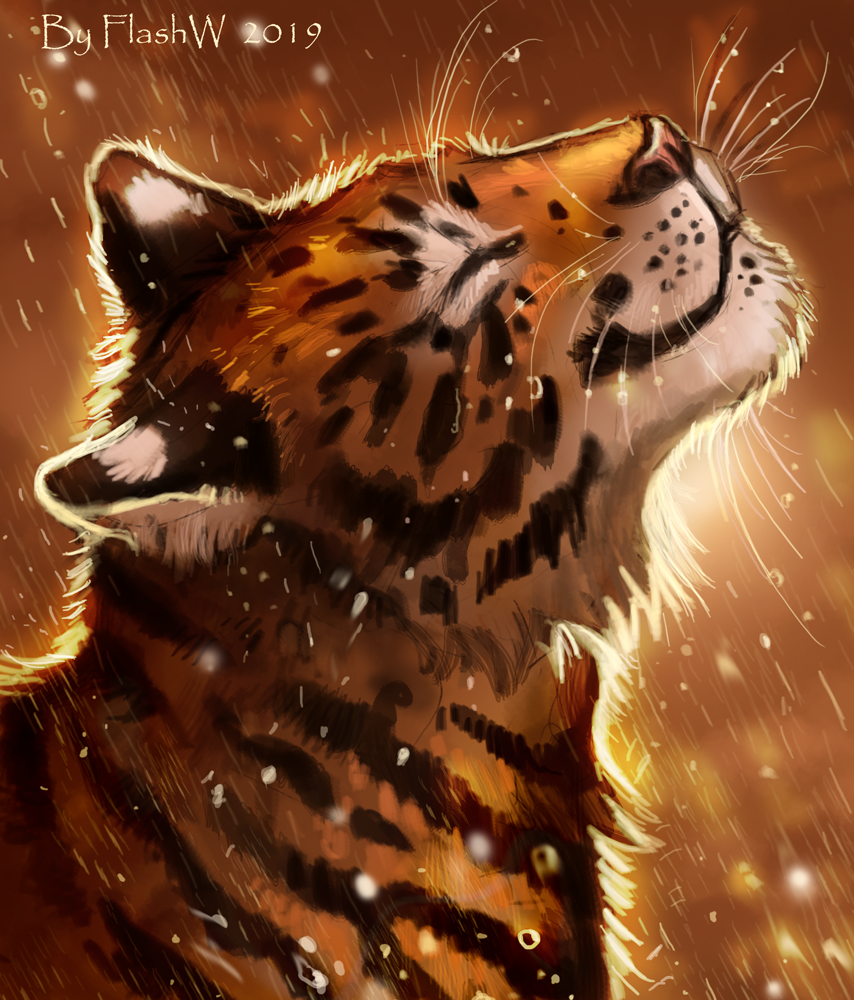 Фото Довольный тигр под дождем, by FlashW