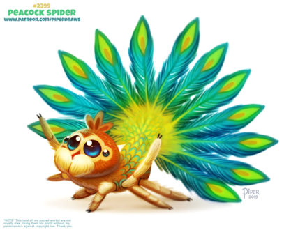 Фото Паучок-павлин на белом фоне (Peacock Spider), by Cryptid-Creations