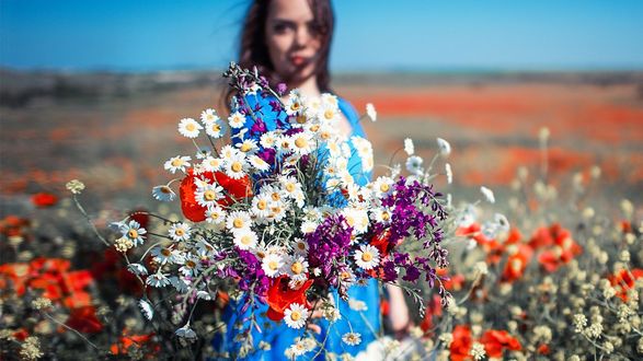 Фото с полевыми цветами девушке