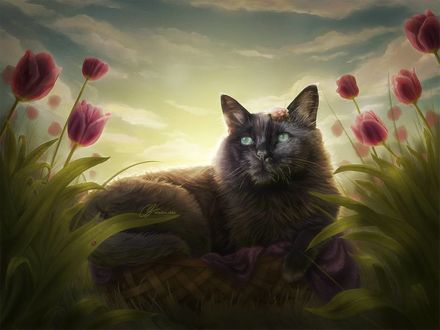 Фото Кошка лежит среди тюльпанов, by Lunarlueur