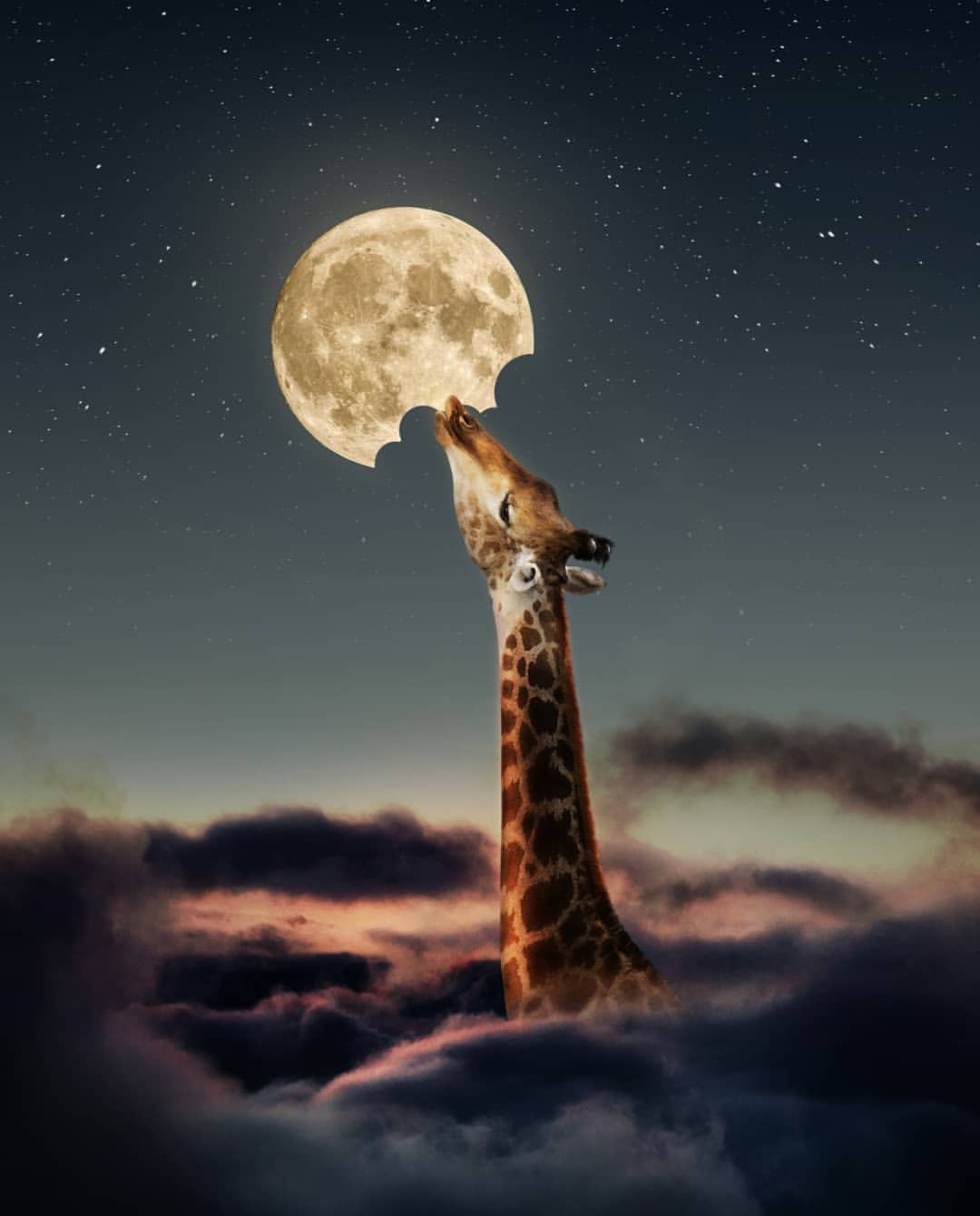 Жираф и Луна