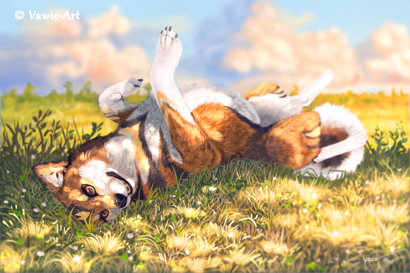 Фото Собака лежит в траве, BY Vawie-Art