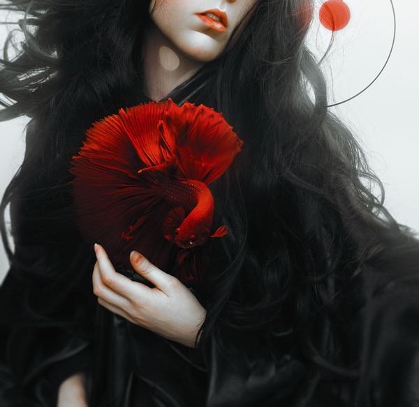 Фото Девушка с красным цветком, by useinblack