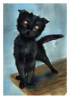 Фото Мокрый черный котенок, by lariel-istime