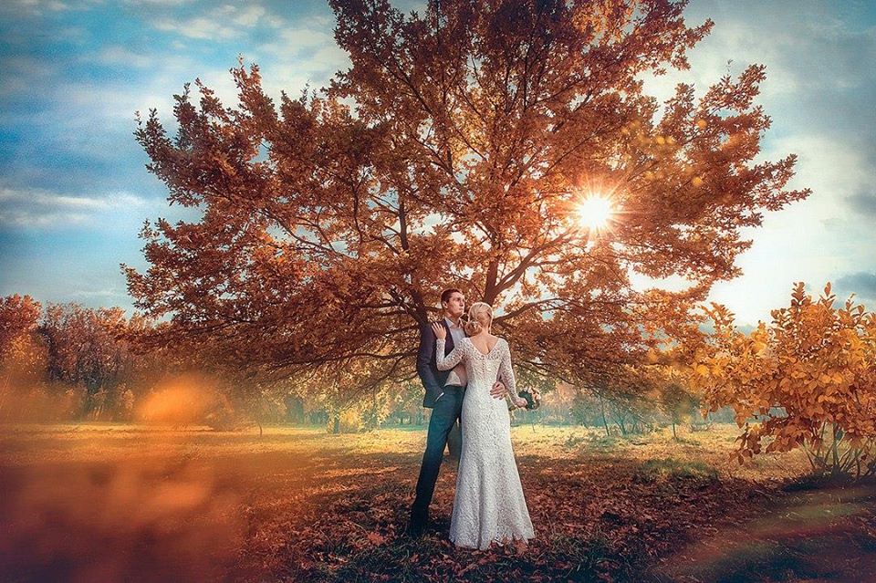 Фото Жених и невеста стоят у осеннего дерева. Фотограф Акимов Денис