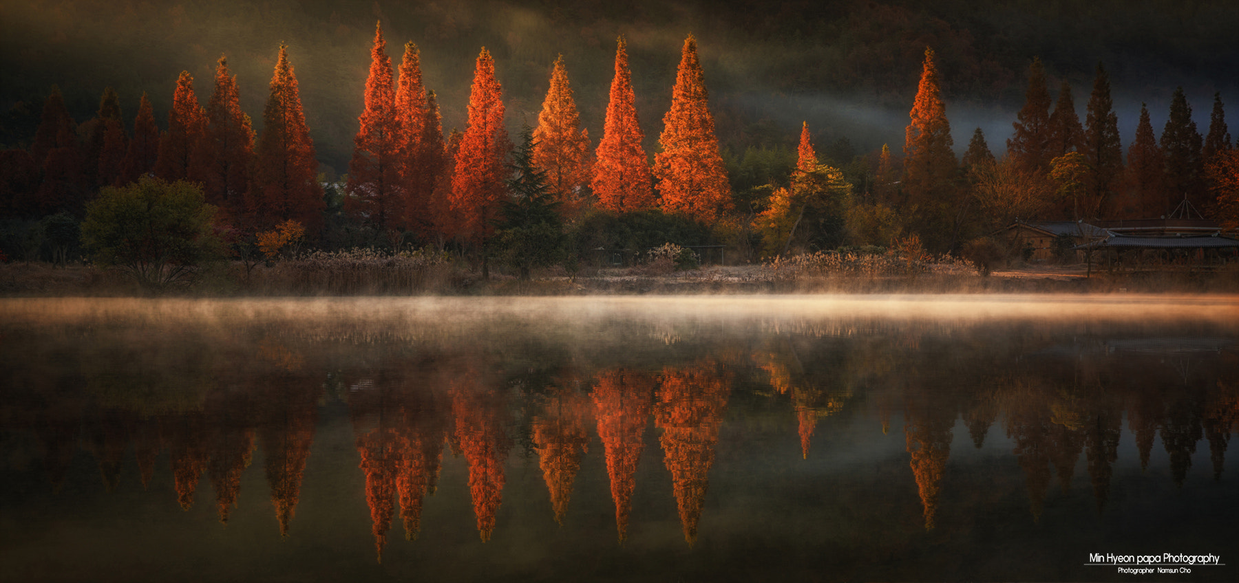 Фото Осенние деревья и их отражение в воде, by Namsun Cho