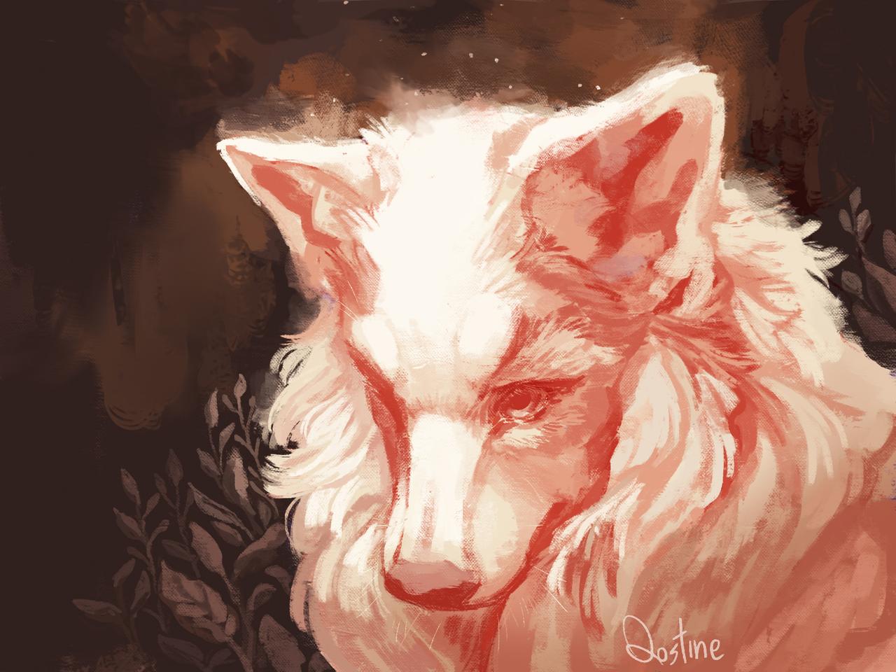 Аниме волк альбинос