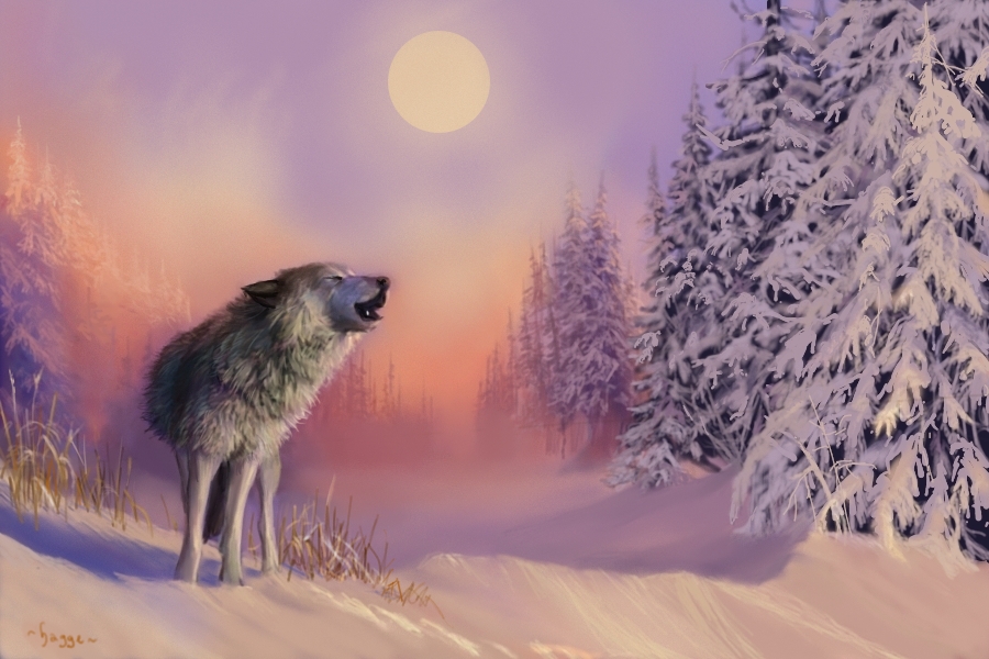 Фото Воющий волк в зимнем лесу, by Hagge