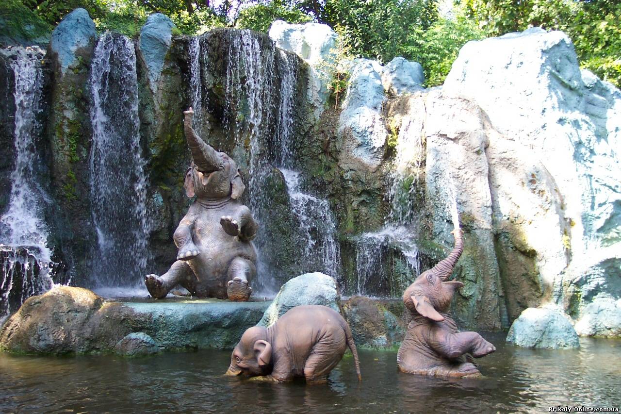 Фото Слоны купаются в водоеме у водопада