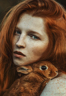 Ібіліс теледидарында порно көру