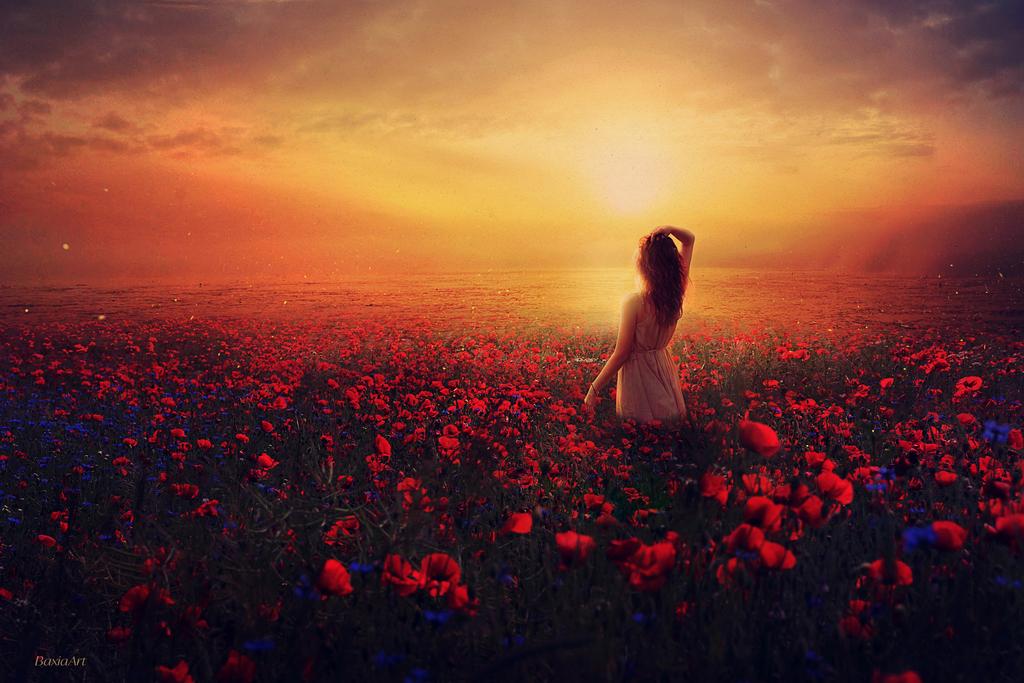 Фото Девушка стоит на маковом поле, by BaxiaArt
