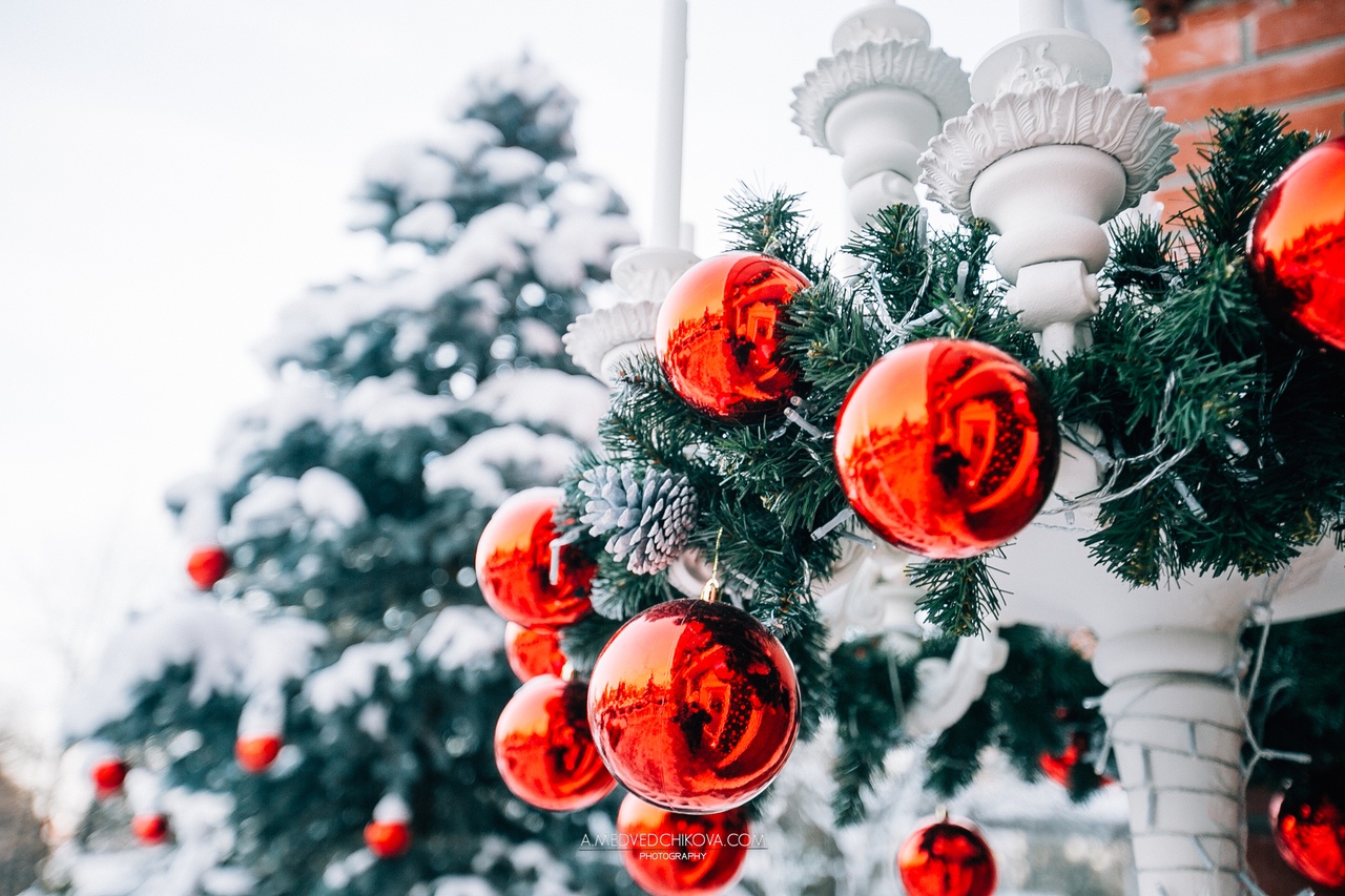 Фото Красные шары на елке, фотограф A. Medvedchikova