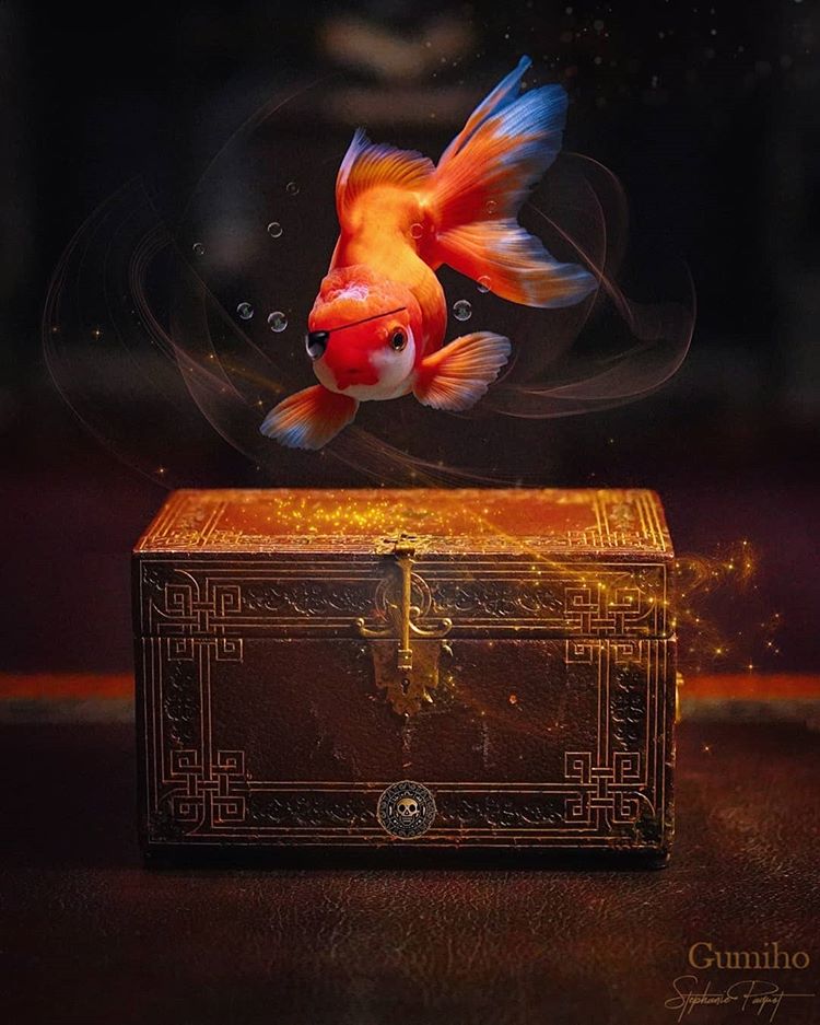 Фото Рыбка над сундуком, by sphantasy_art