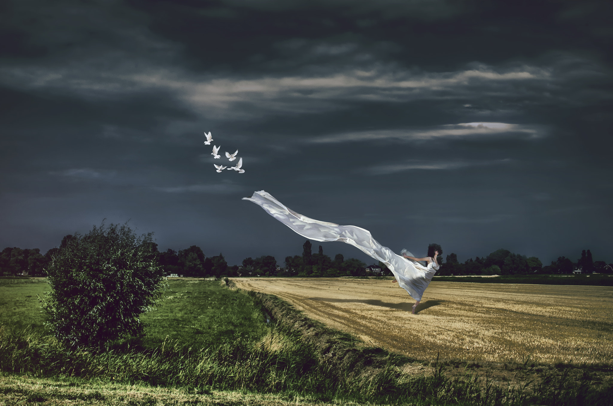 Фото Девушка в белом развевающеммся платье на поле, by Elianne van Turennout