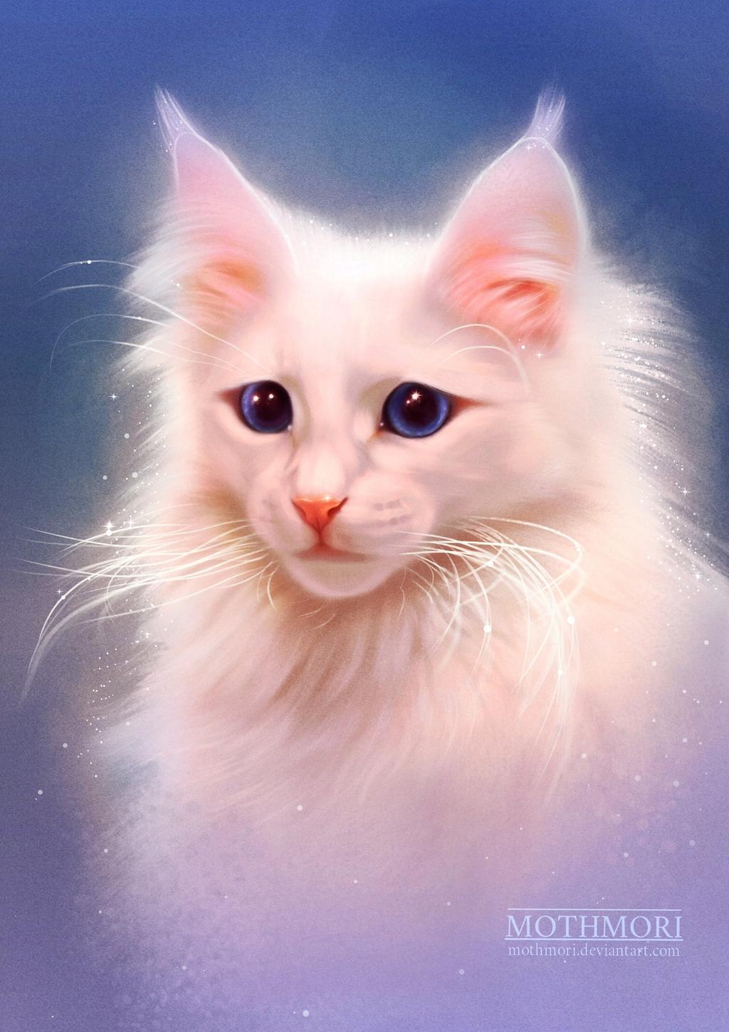 Фото Белая пушистая кошка с голубыми глазами, by mothmo