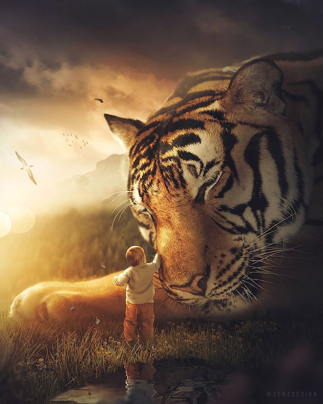 Фото Малыш гладит огромного тигра, by zenzdesign