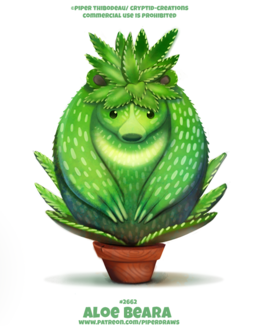 Фото Медведь в горшке (Aloe Beara), by Cryptid-Creations