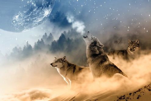 Силуэт волка, воющего на круглую Луну — Картинки на аву