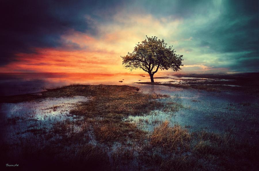 Фото Одинокое дерево на фоне облачного неба на закате, by BaxiaArt